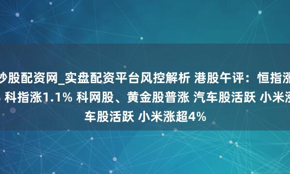 炒股配资网_实盘配资平台风控解析 港股午评：恒指涨0.43% 科指涨1.1% 科网股、黄金股普涨 汽车股活跃 小米涨超4%