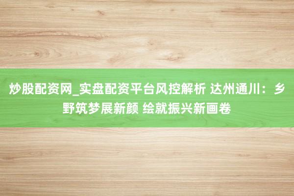 炒股配资网_实盘配资平台风控解析 达州通川：乡野筑梦展新颜 绘就振兴新画卷