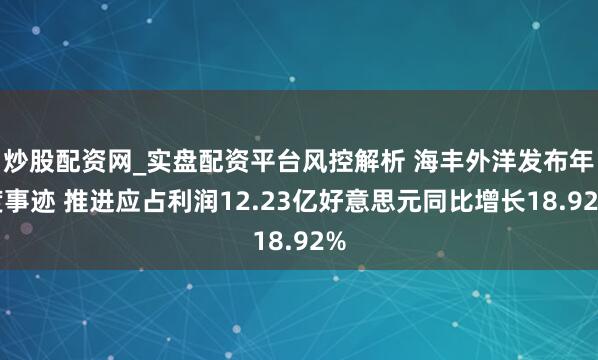 炒股配资网_实盘配资平台风控解析 海丰外洋发布年度事迹 推进应占利润12.23亿好意思元同比增长18.92%