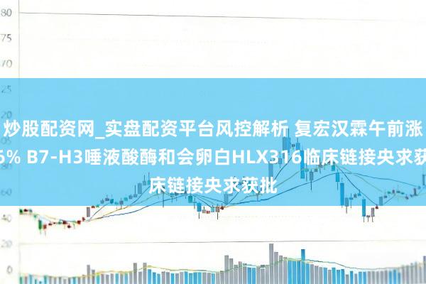 炒股配资网_实盘配资平台风控解析 复宏汉霖午前涨逾6% B7-H3唾液酸酶和会卵白HLX316临床链接央求获批