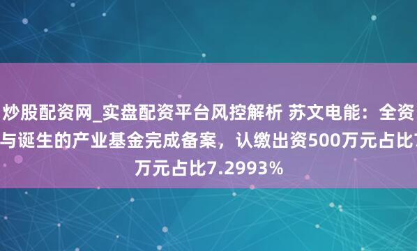 炒股配资网_实盘配资平台风控解析 苏文电能：全资子公司参与诞生的产业基金完成备案，认缴出资500万元占比7.2993%