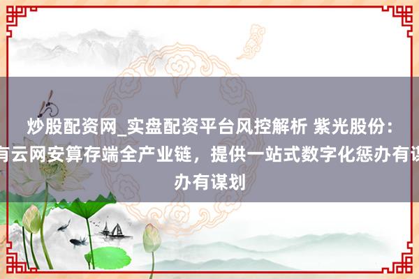 炒股配资网_实盘配资平台风控解析 紫光股份:领有云网安算存端全产业链,提供一站式数字化惩办有谋划
