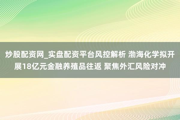 炒股配资网_实盘配资平台风控解析 渤海化学拟开展18亿元金融养殖品往返 聚焦外汇风险对冲