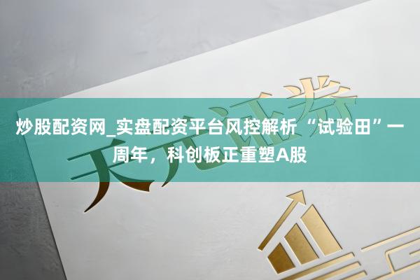 炒股配资网_实盘配资平台风控解析 “试验田”一周年，科创板正重塑A股