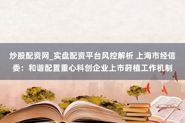 炒股配资网_实盘配资平台风控解析 上海市经信委：和谐配置重心科创企业上市莳植工作机制