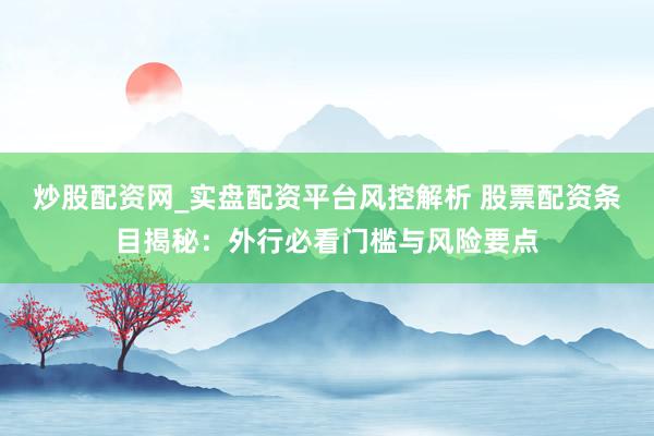 炒股配资网_实盘配资平台风控解析 股票配资条目揭秘：外行必看门槛与风险要点